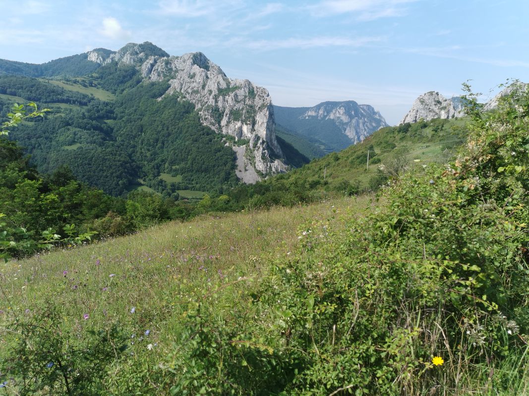 DC130, Sub Piatră to DC104, Valea Poienii