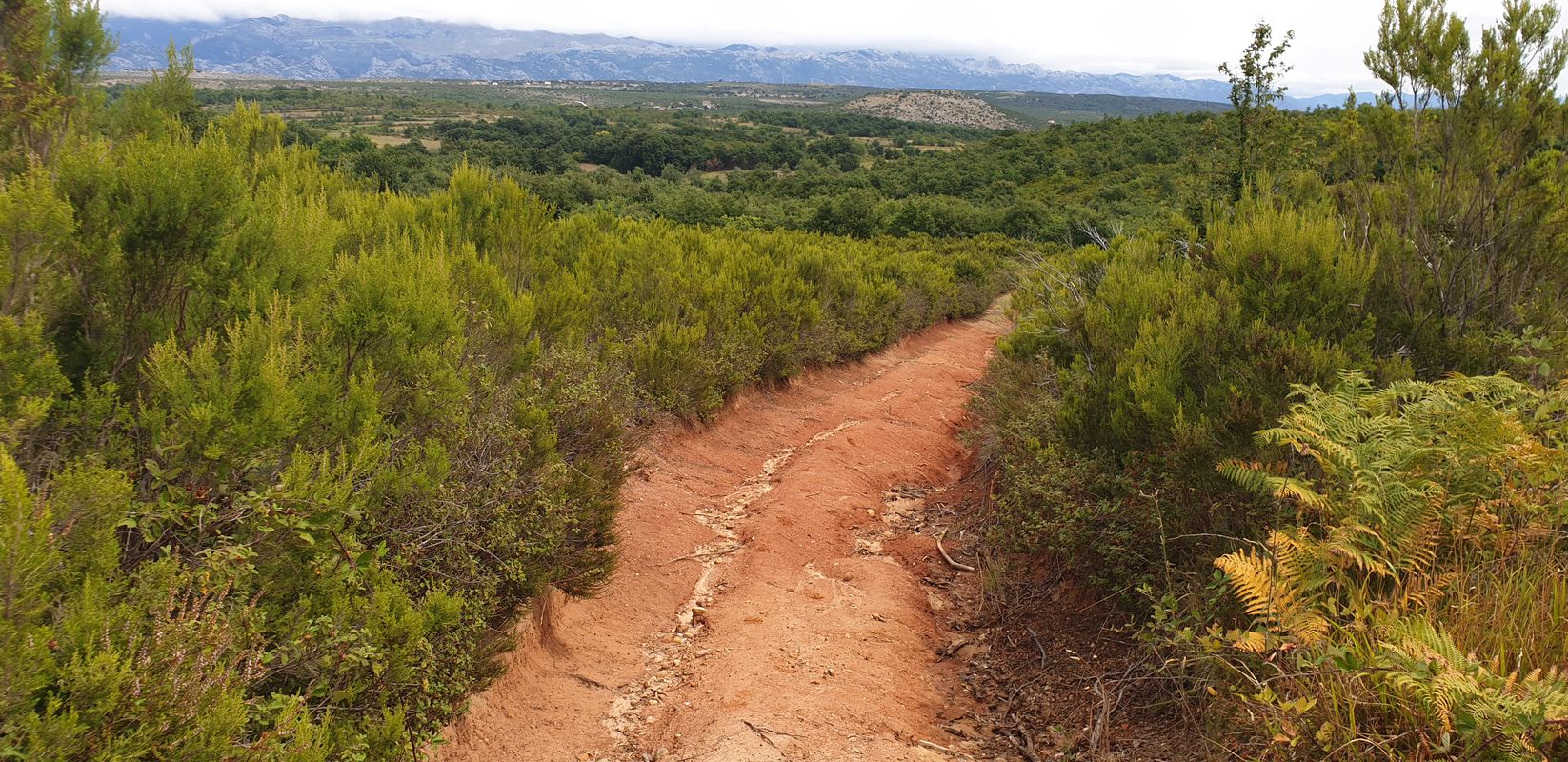 Posedarje Mountainbike tour