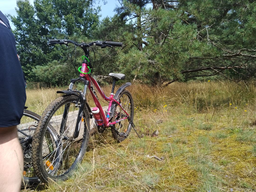 до рельсов тропинино