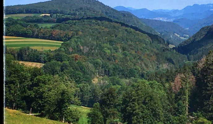 Photo 1 of the Bikemap route "Lucelle-Bourrignon-Burgisberg-Pleigne-Roggenburg-Kleinlützel"