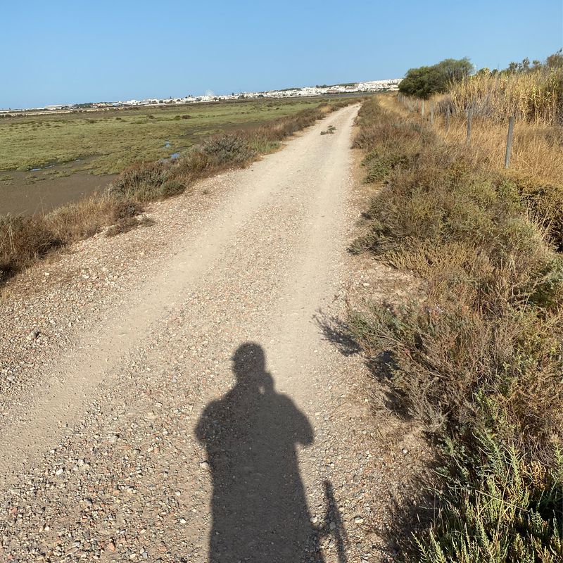 Fuentebermeja - Las Salinas del Puerto