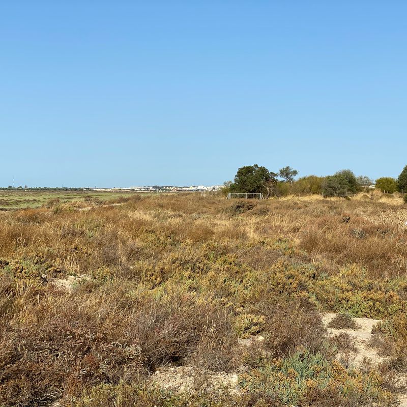 Fuentebermeja - Las Salinas del Puerto