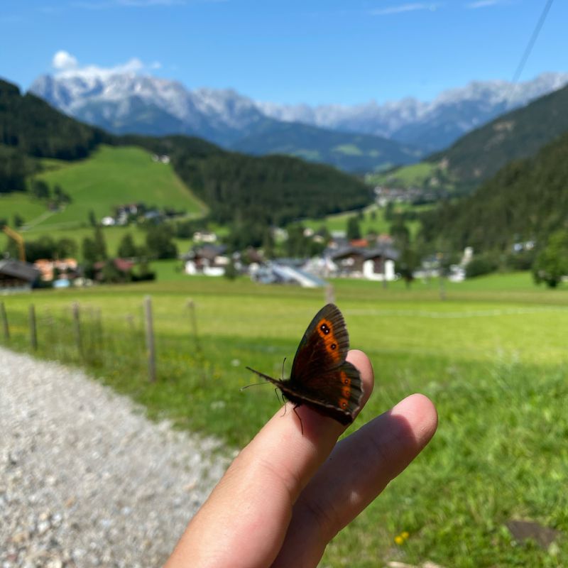 Weng, Werfenweng nach Weng 198, Werfenweng