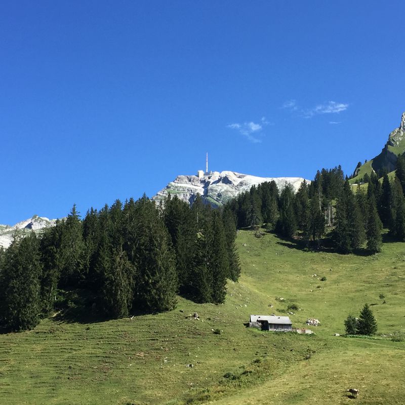 Gamplüt MTB Runde
