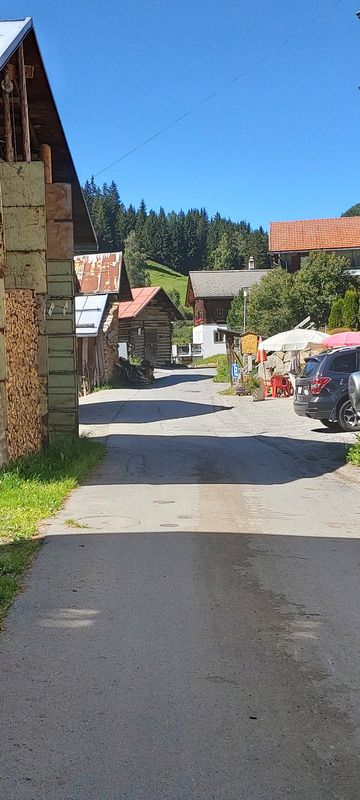 Schluein, Falerin nach Schluein, Falerin