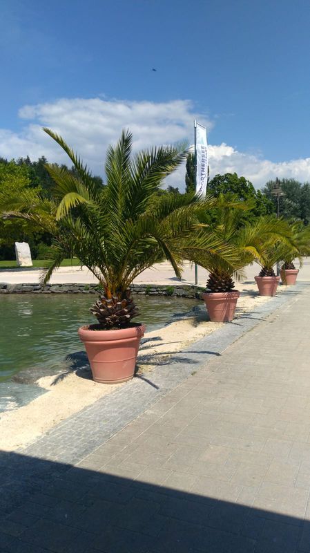 Seecorso 19, Velden am Wörthersee nach Augsdorfer Straße 14, Velden am Wörthersee