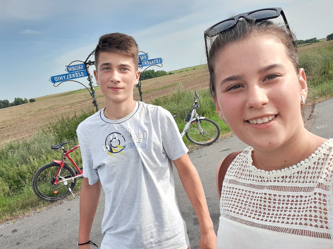 Strada Narcisei, Diosig to Strada Narcisei, Diosig