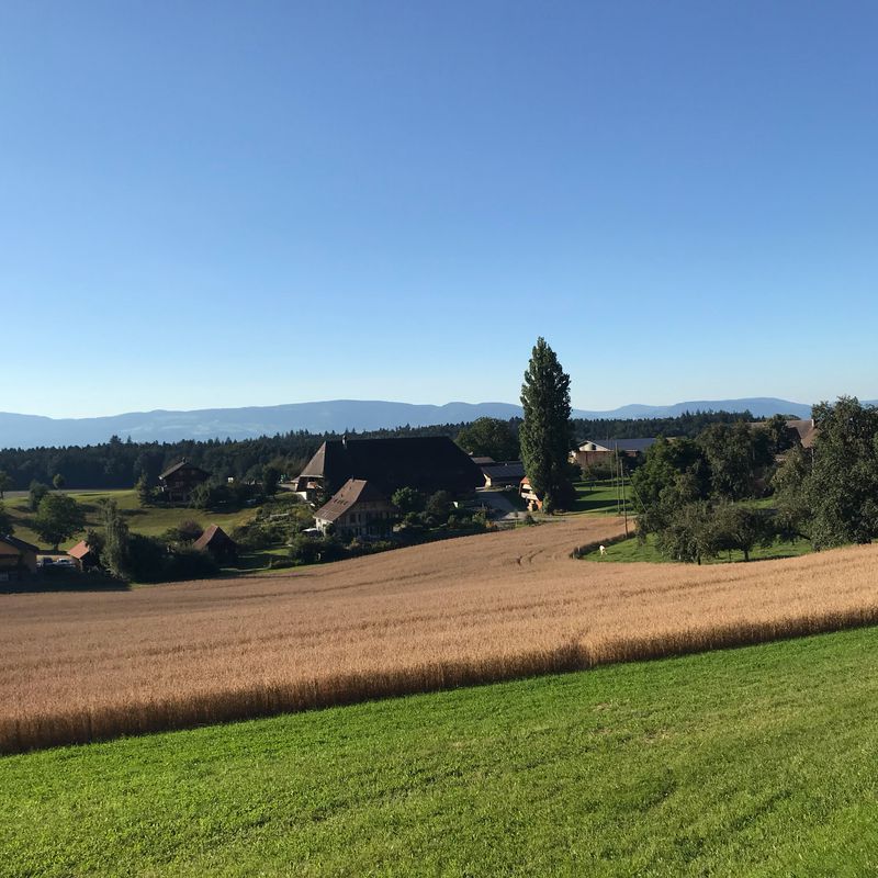 RV Tour Oschwand Kappelen