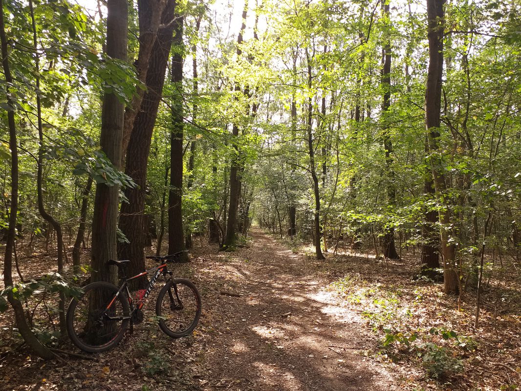 Snagov MTB Green 46 km Snagov - Pd. Snagov - Pd. Vladiceasca - Snagov (ADE 200)