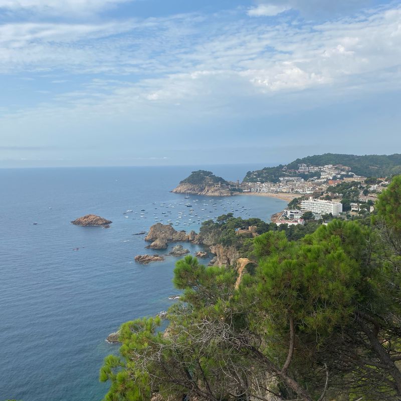 De Carrer dels Nards, 3, Castell-Platja d'Aro à Carrer dels Nards, 3, Castell-Platja d'Aro