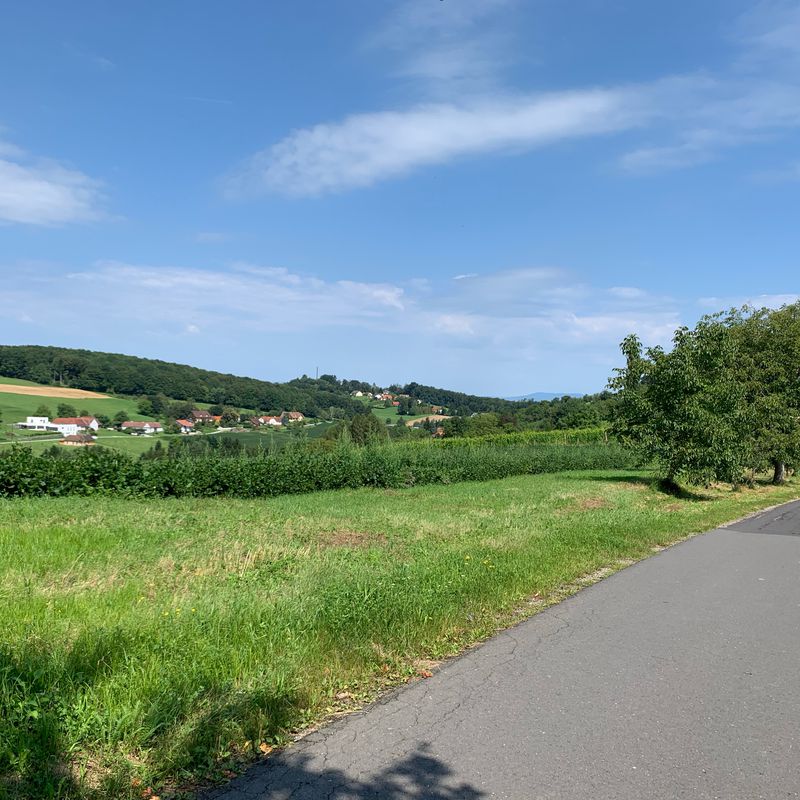 Bischof-Haas-Straße 13, Pinkafeld nach Partizanska cesta 48, Marburg