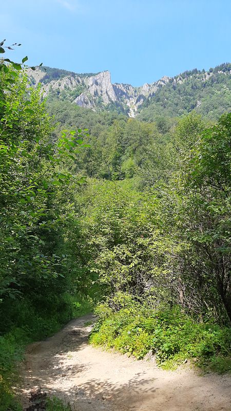 DJ654, Gurguiata to Strada Nicolae Epure 9, Râmnicu Vâlcea