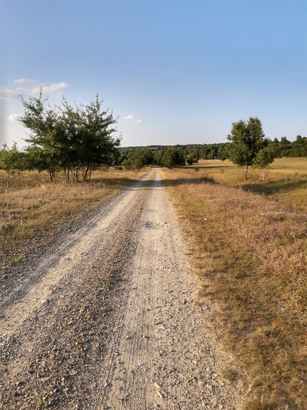 станція Задорожня to вулиця Стрийська 119, Львів