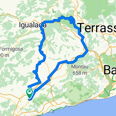 arboç-montserrat-arboç