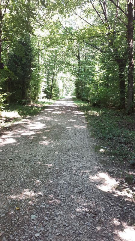 Langmattstrasse 12, Erlinsbach nach Oberfeldstrasse 44, Oftringen