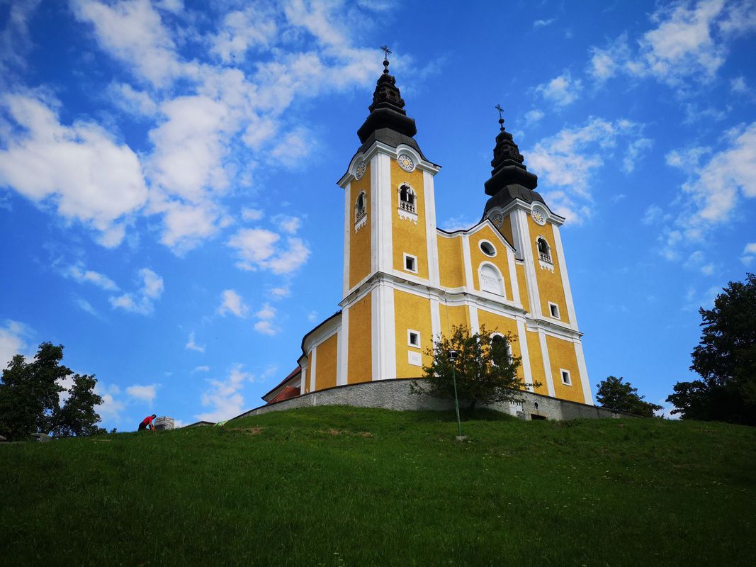DobričGoraOljka
