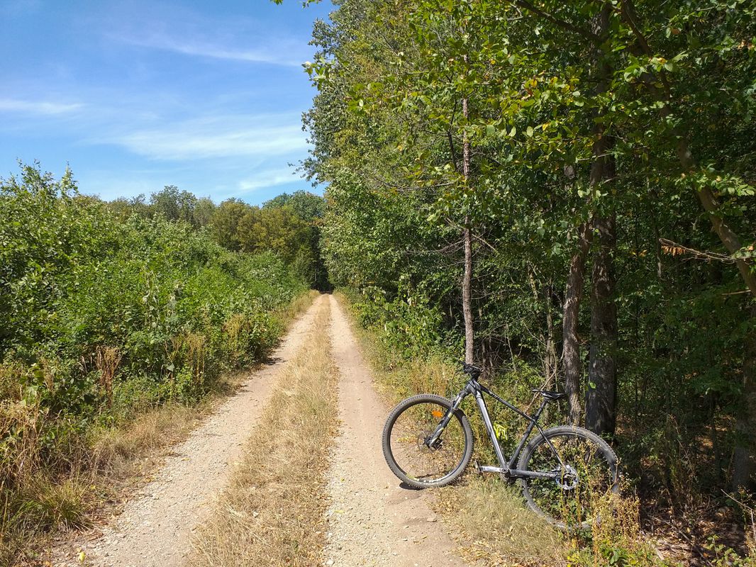 Snagov MTB Yellow 28 km Silistea Snagovului - Mnst. Snagov - L. Snagov - Pd. Snagov - Silistea Snagovului (ADE 201)