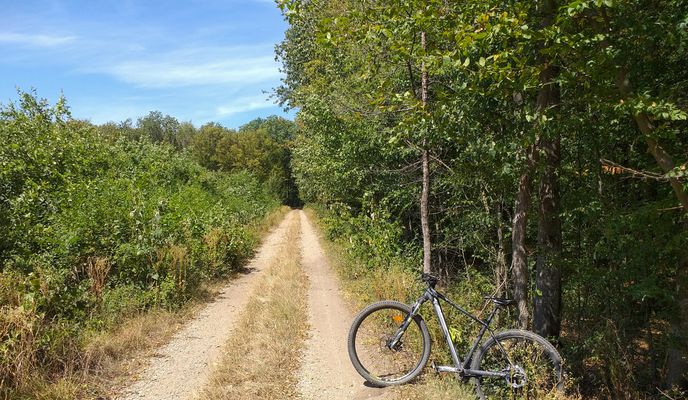 Photo 1 of the Bikemap route "Snagov MTB Yellow 28 km Silistea Snagovului - Mnst. Snagov - L. Snagov - Pd. Snagov - Silistea Snagovului (ADE 201)"