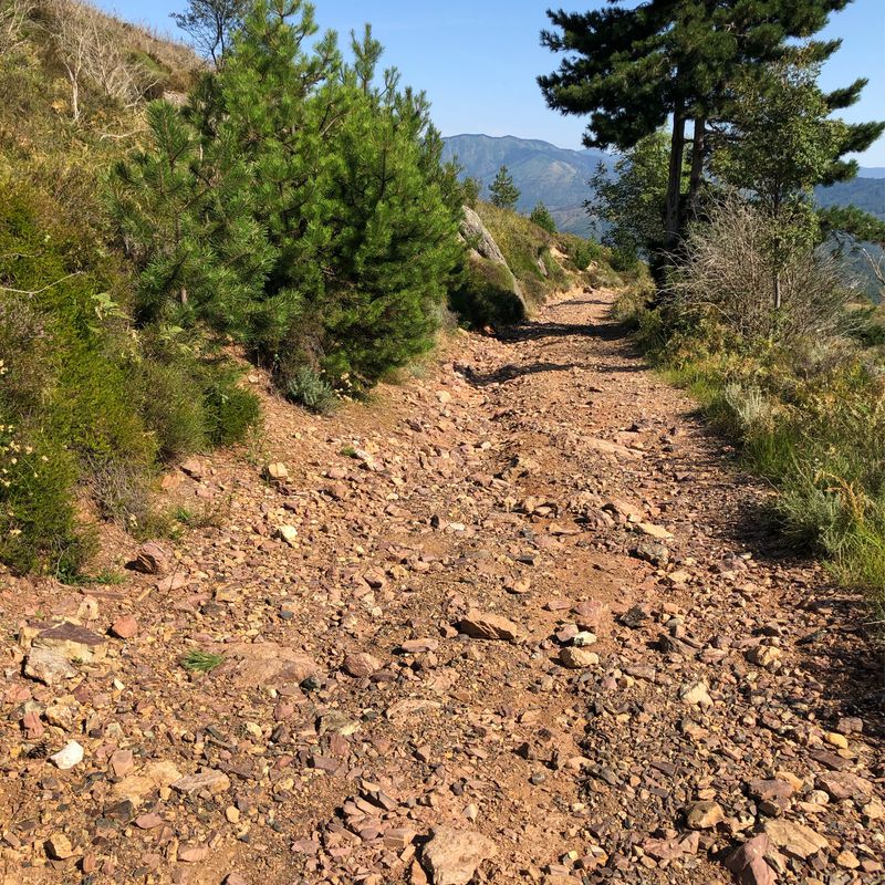Recovered Route