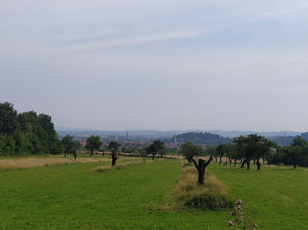 Janusza Korczaka 1, Bielawa do Korczaka 1, Bielawa
