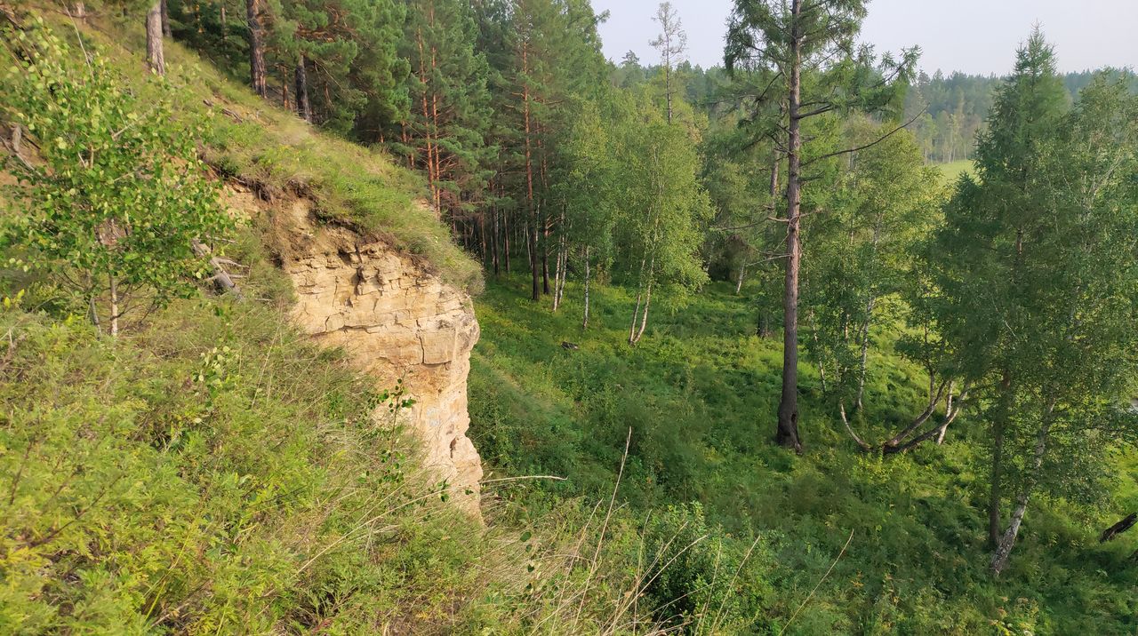 От Соснового бора до Белого  камня по кольцевому маршруту
