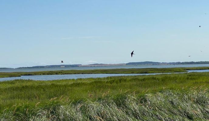 Photo 2 de l’itinéraire Bikemap « Klosterstraße 1, Zingst nach Klosterstraße 20A, Zingst »