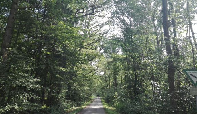 Foto 1 der Bikemap-Route "Spaziergang im Uentroper Wald"