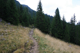 Atrakcja 23 na trasie Bikemap „Cindrel-Sureanu-Etapa 3/Stage 3”