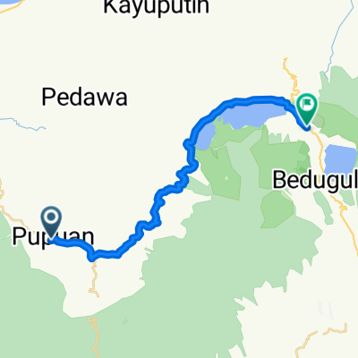 Pupuan to Bedugul