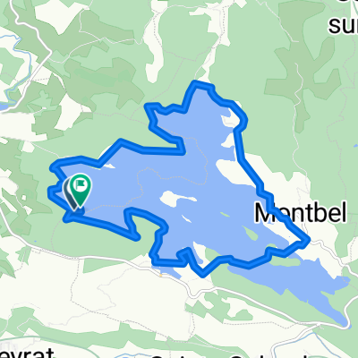 Lac de Montbel (16)