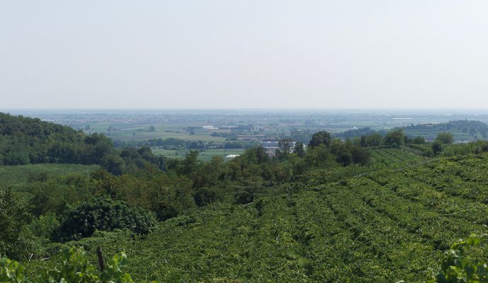 Photo 2 de l’itinéraire Bikemap « Mantova - Vicenza » Photo 2 de l’itinéraire Bikemap « Mantova - Vicenza »