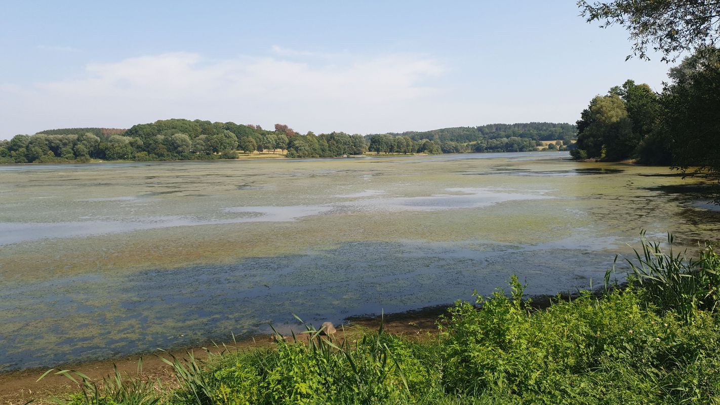 Wiesensee - Nister - Rundweg