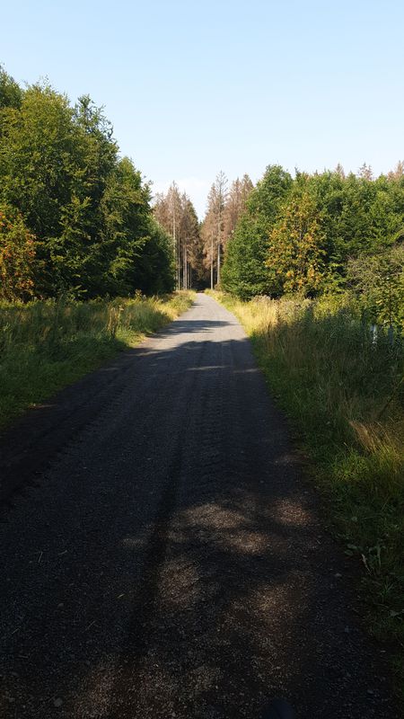 Wiesensee - Nister - Rundweg