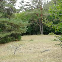 Oerlenbacher Straße 11 nach Im Gereuth 10, Oerlenbach