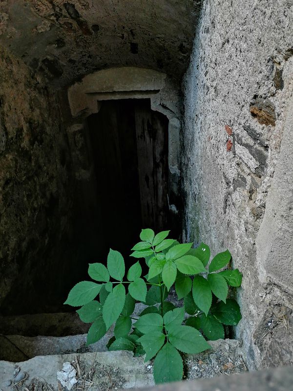 Schallemmersdorf 2 nach Sankt Michael 14