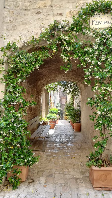 Da Oratino a Campobasso