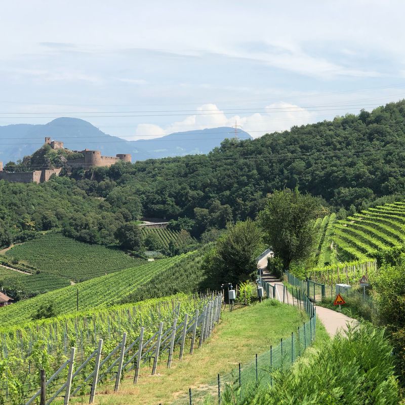 Rund um den Berg von/nach Kaltern