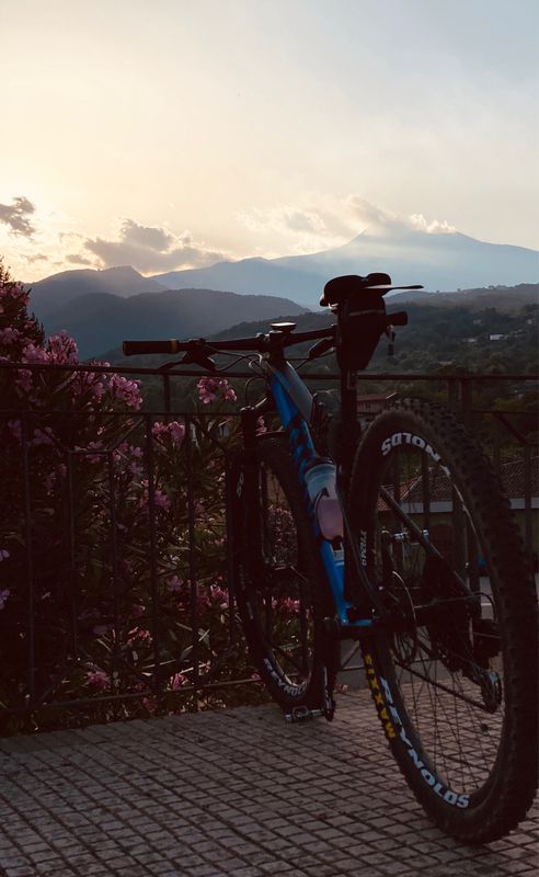 Valverde Cycling