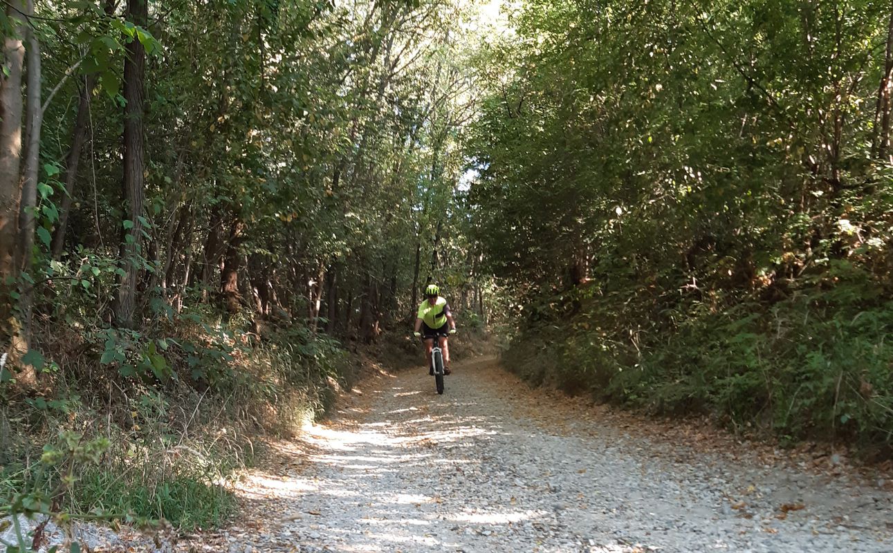 Gura Suhașului Cycling