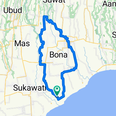 Gianyar &amp; rice fields 1