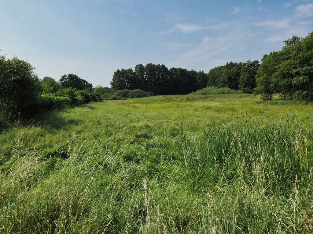 Schwerin-Rundtour: Ostorfer See und Pinnower See
