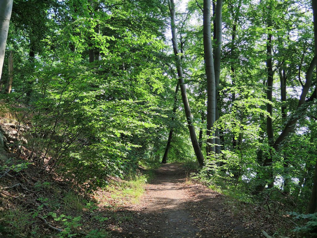 Schwerin-Rundtour: Ostorfer See und Pinnower See