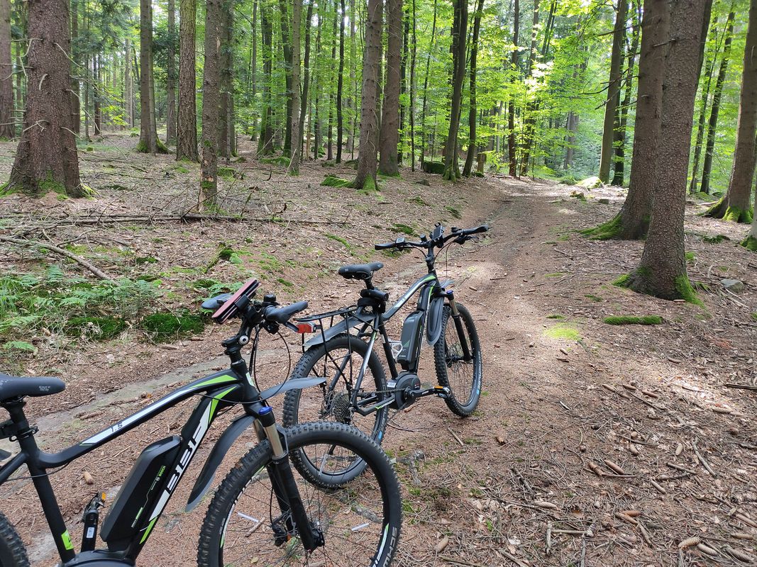 MTB-Tour sevensummitsCham