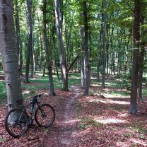 Viscri MTB Yellow 94 km Viscri - traseul VSHT - Mesendorf hills - Sapartoc - Sighisoara - Saschiz - TransViscri - Viscri (ADE 53