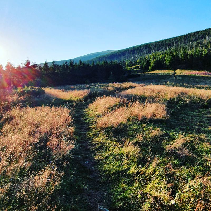 Hřebenovka Nízké Tatry & Velká Fatra - Den 7. -Andrejcová - Telgárt (pěšky)