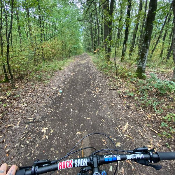 Photo 2: Bike Path Romania