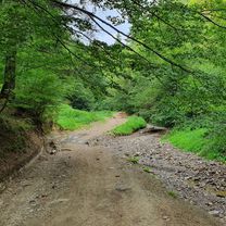 Foto 8 de la ruta de Bikemap "Cozla/Humăriei/Agarcia/Doamna ⛅"
