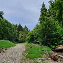 Foto 7 de la ruta de Bikemap "Cozla/Humăriei/Agarcia/Doamna ⛅"