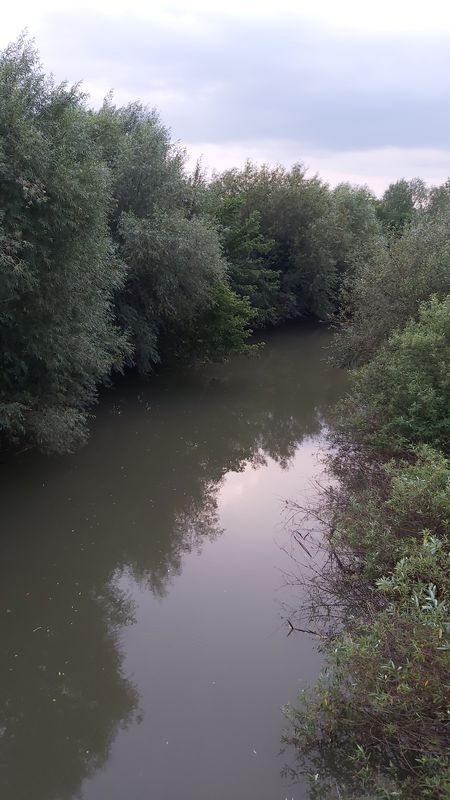 Buna seara Bârzava.