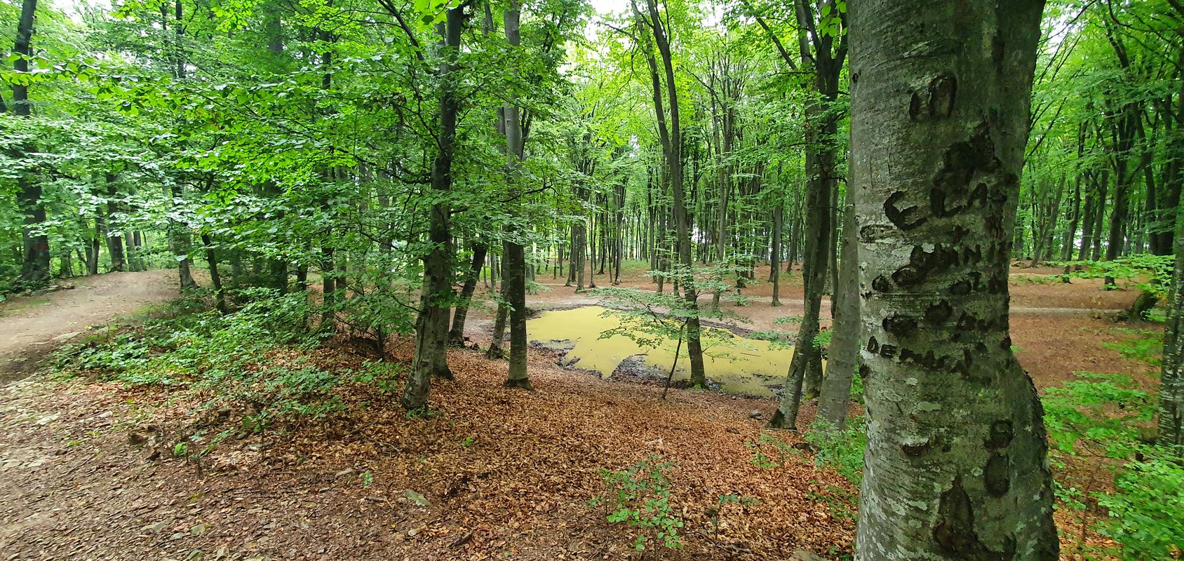 Tur Piatra Neamț - Cozla - Valea Viei
